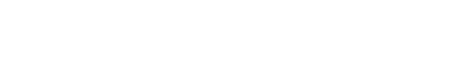 L’unica